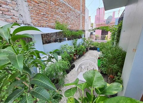 Terrace Setup NK Greens